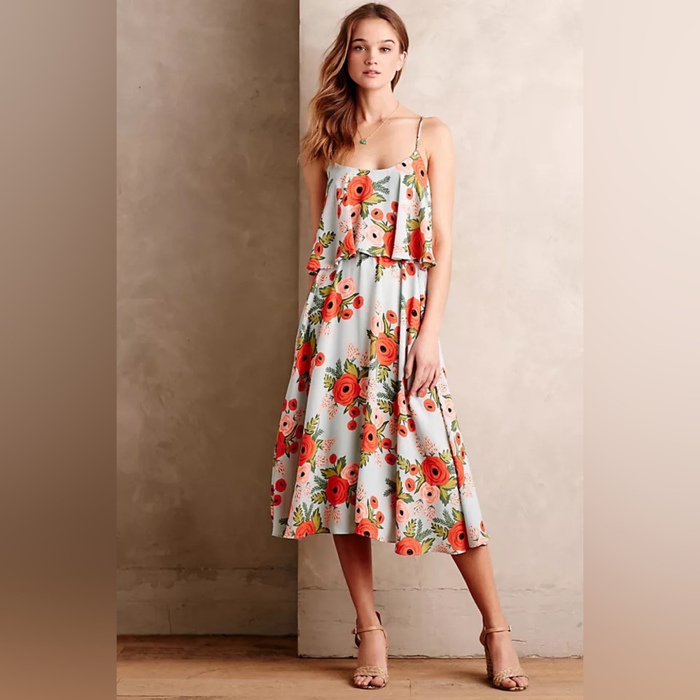 Rifle paper company + paper crown / Anthropologie midi dress
